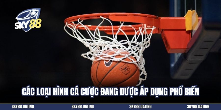 các loại hình cá cược đang được áp dụng phổ biến